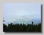 DSCF2835