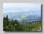 DSCF2877