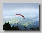 DSCF2890
