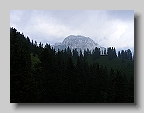 DSCF2897