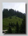 DSCF2907